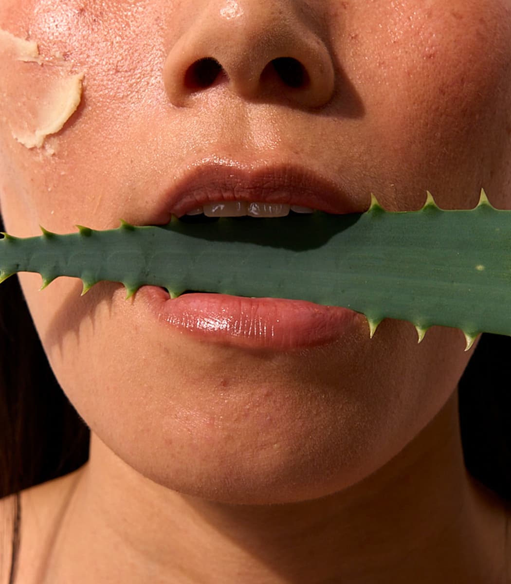 /_next/static/media/cactus-in-mouth-lg.0_smtixjevwec.jpg